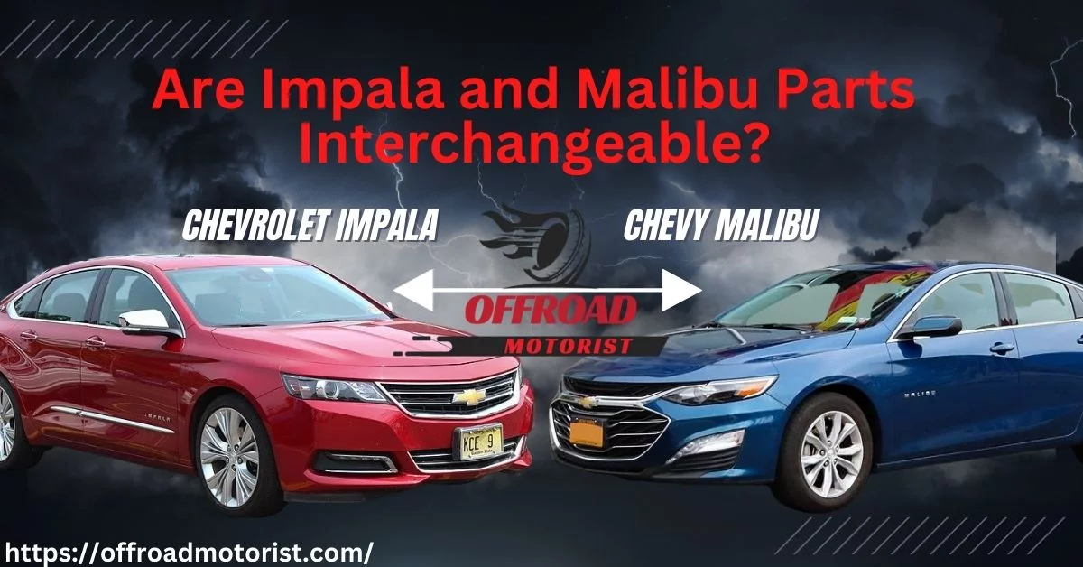 Are Impala and Malibu Parts Interchangeable | A Guide to Interchangeable Parts?